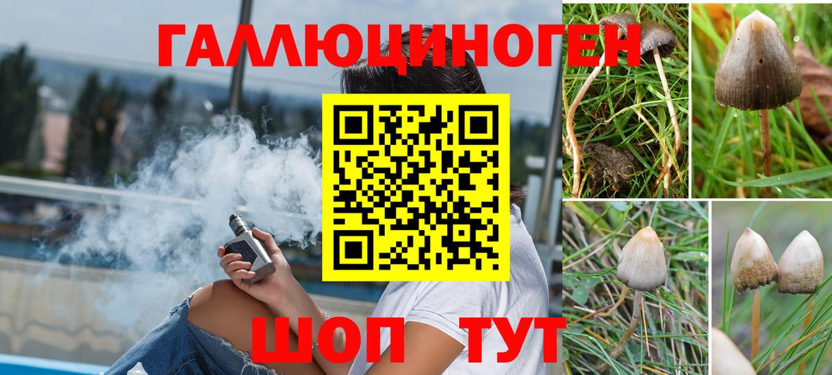 Псилоцибиновые грибы Cubensis Урюпинск