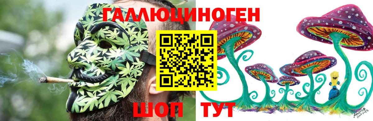 купить наркотик  Псилоцибиновые грибы прущие грибы  Вход с VPN  Урюпинск 